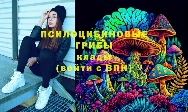 соль ск Балахна