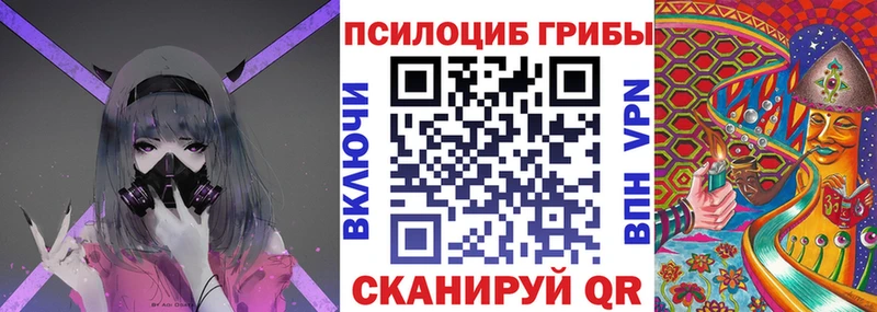где продают наркотики  Бокситогорск  Псилоцибиновые грибы GOLDEN TEACHER 