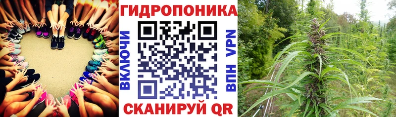 blacksprut ССЫЛКА  Бокситогорск  Бошки Шишки THC 21% 